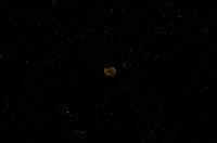 藏品(微小螺)的圖片